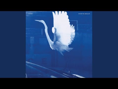 Sybarite — The Letter