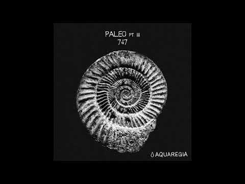 747 — 747 - Suture Lines [AQR010]