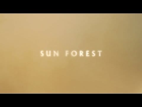Nick Cave & The Bad Seeds — Nick Cave and The Bad Seeds - Sun Forest (Lyric Video)