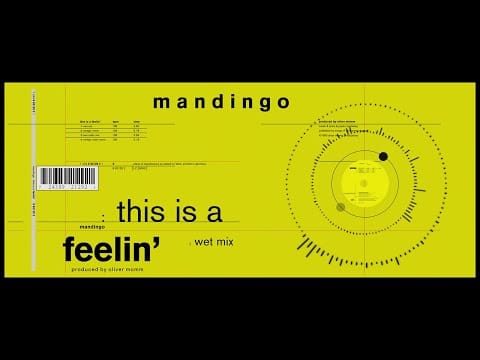 Mandingo (2) — Mandingo - This Is A Feelin' (Wet Mix)