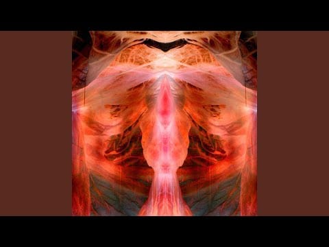 Paul Schütze — Trance Millitant