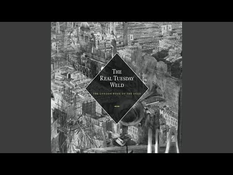 The Real Tuesday Weld — Blood Sugar Love