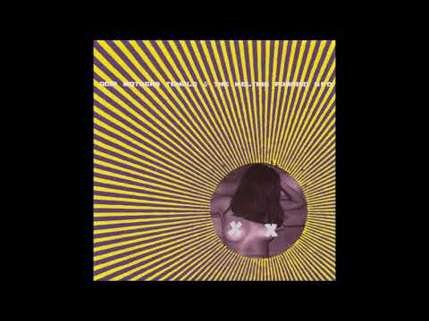 Acid Mothers Temple & The Melting Paraiso UFO — Acid Mothers Temple & The Melting Paraiso UFO - Grateful Head