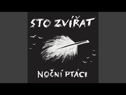 Sto Zvířat — Noční ptáci