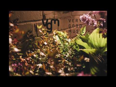 Detroit Swindle — Detroit Swindle - Tamarindus Hollandicus (Willie Burns Remix)