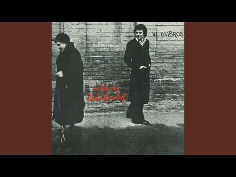 Wolfgang Ambros — Wüst oda wüst ned (TV Playback Bonus Track Remastered)