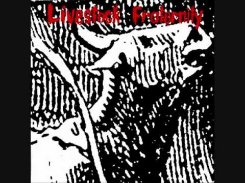 Fraternity — Fraternity - The Race Part One