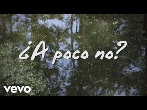 José Madero — José Madero - ¿A Poco No? (Lyric Video)