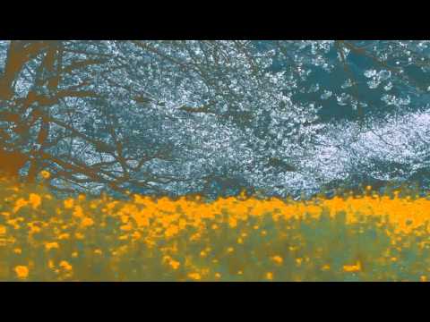 Australasia — Australasia - Scenario