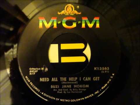 Suzi Jane Hokom — Suzi Jane Hokom - Need All The Help I Can Get