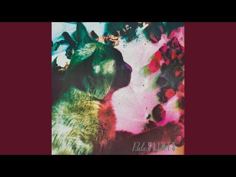 Pale Saints — Sea of Sound (Remastered)