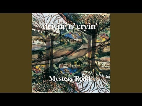 Drivin' N' Cryin' — With The People
