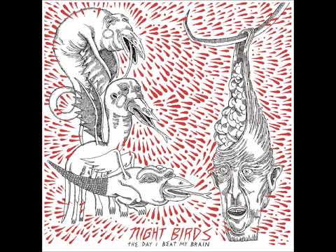 Night Birds — Night Birds - The Day I Beat My Brain (Official Audio)
