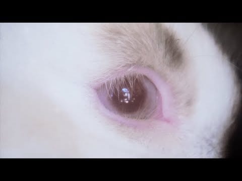 Joji — Joji - Die For You