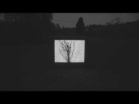 Spiritbox — The Beauty of Suffering *OFFICIAL*