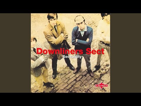Downliners Sect — All Night Worker