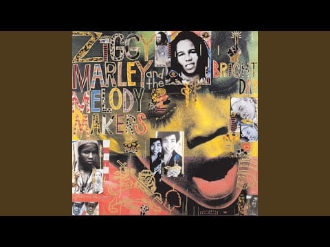 Ziggy Marley And The Melody Makers — Pains Of Life