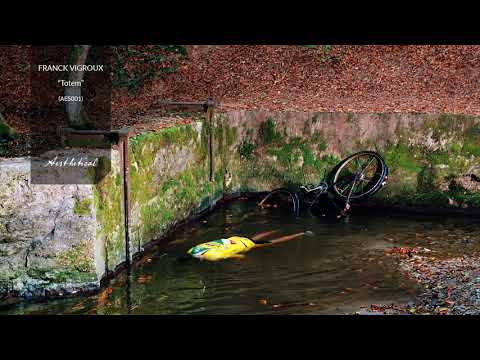 Franck Vigroux — Franck Vigroux - Télévision