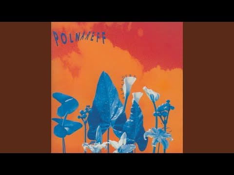 Michel Polnareff — Amour cachets