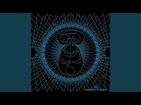 Modeselektor — Grillwalker