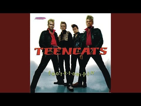 Teencats — What Am I Gonna Do