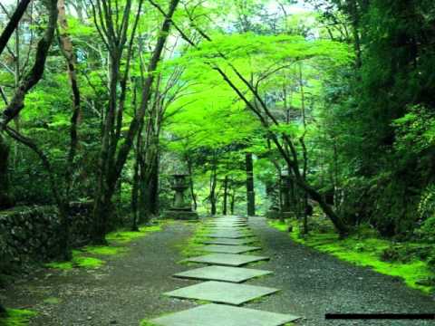 Ryuichi Sakamoto & David Sylvian — Ryuichi Sakamoto - Forbidden Colours (Original)