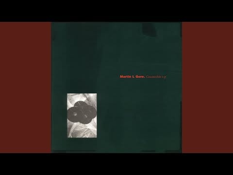 Martin L. Gore — Never Turn Your Back On Mother Earth