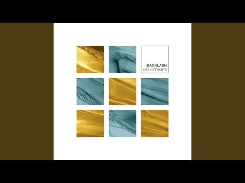 Backlash — Heliotrope