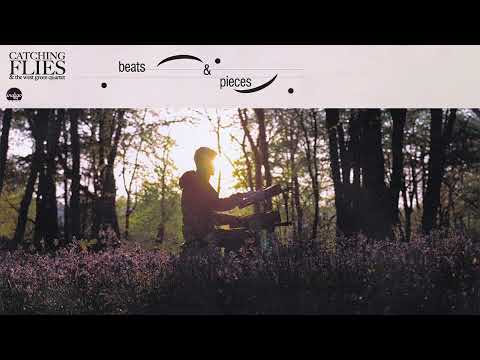 Catching Flies (2) — Catching Flies - Nice Time Type Beat [Official Audio]