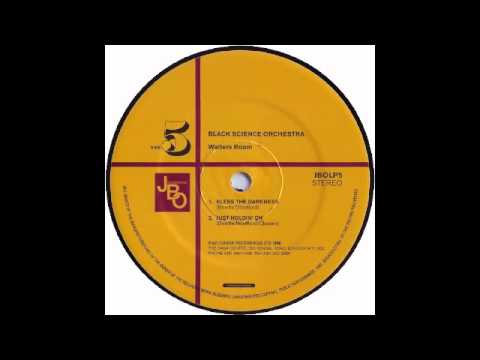 Black Science Orchestra — Black Science Orchestra - Bless The Darkness
