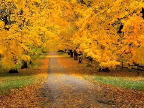 Gino Paoli — in quest'autunno Gino Paoli