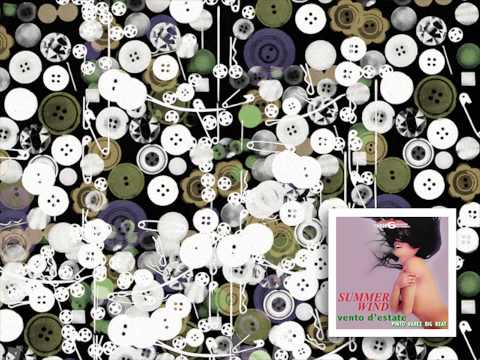 Pinto Varez Orchestra — ►Pinto Varez◄ - Crazy Fingers [Dita Impazzite]