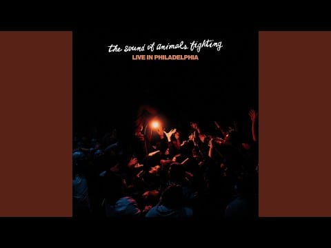 The Sound of Animals Fighting — Chinese New Year (Live)