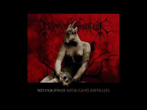 Filii Nigrantium Infernalium — Filii Nigrantium Infernalium - Fellatrix Discordia Pantokrator (FULL ALBUM)