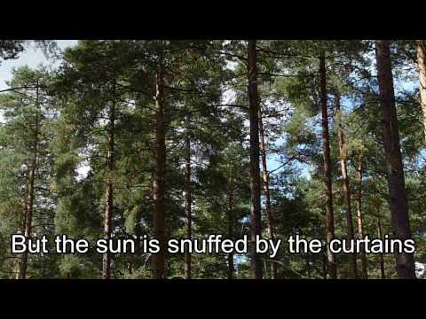 Bowerbirds — Bowerbirds - House of Diamonds (with lyrics)