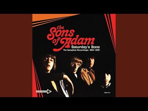 The Sons of Adam — You're A Better Man Than I