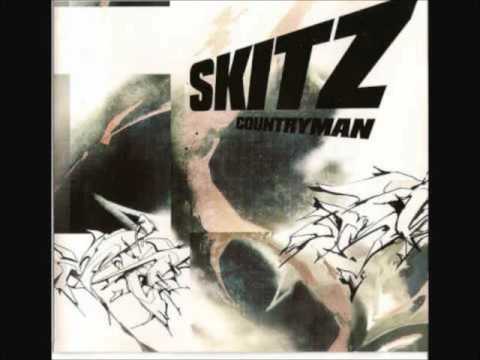 Skitz — Skitz - Domestic Science ft. Wildflower, Tempa & Estelle (fremisbeatz remix)