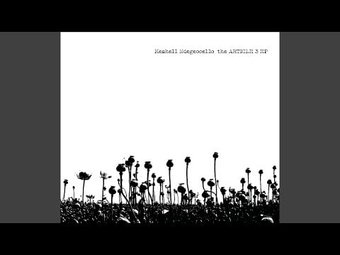Meshell Ndegeocello — Article 3