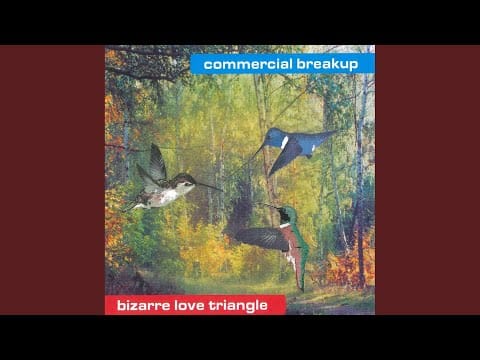 Commercial Breakup — Bizarre Love Triangle (Lexy's & K-Paul's Elektrö Remix)