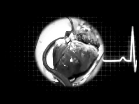 Thee Dirty Rats — Thee Dirty Rats  -  Lack Of Love