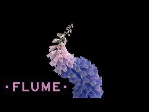 Flume — Flume - Pika