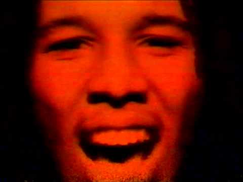 Ziggy Marley And The Melody Makers — Ziggy Marley & The Melody Makers Kozmik