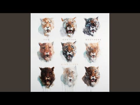 Von Hertzen Brothers — One May Never Know