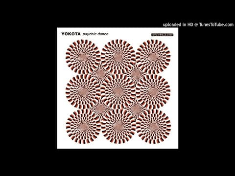 Susumu Yokota — Yokota - Hirnamin