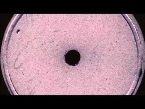 Derrick Carter — Where You At? - Derrick Carter
