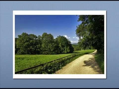 Paul Mauriat And His Orchestra — Paul Mauriat - I'm coming home (1968)