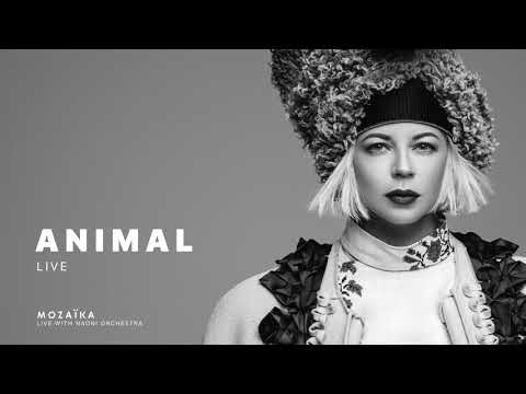 Onuka — ONUKA - ANIMAL (feat. NAONI Orchestra) [Live]