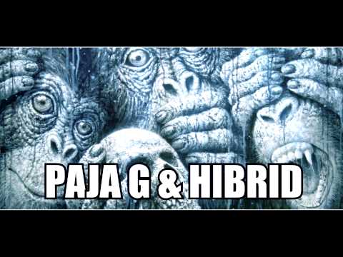 Wanted (19) — Wanted Paja - G feat Hibrid - Becsület / 2015