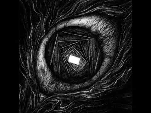 Carpe Noctem (4) — Carpe Noctem-Sá sem slítur vængi flugunnar hefur náð hugljómun
