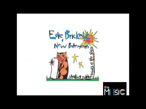 Edie Brickell & New Bohemians — What I Am ❉ EDIE BRICKELL & NEW BOHEMIANS [vinyl cut]